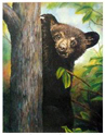 Bear_King_ICON.jpg (22747 bytes)