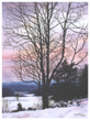 Cades_Cove_Twilight_ICON.jpg (20144 bytes)
