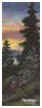High_Country_Spring_II_ICON-2_B.jpg (1807 bytes)