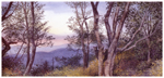 Lookout_Point_ICON.jpg (22152 bytes)