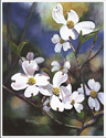 Spring_Serenade_ICON.jpg (24969 bytes)