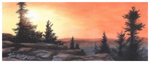 Sundance_ICON.jpg (17399 bytes)